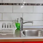 Cute Apartamento