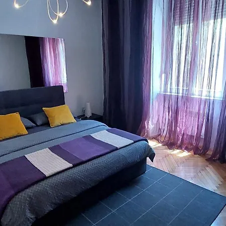 Cute Zadar